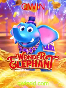 WonderElephant